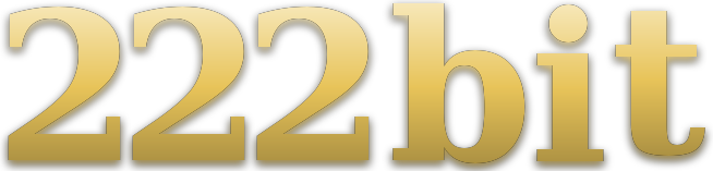 222 bit logo